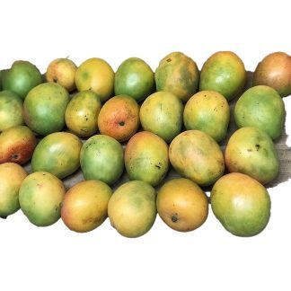 Fruit